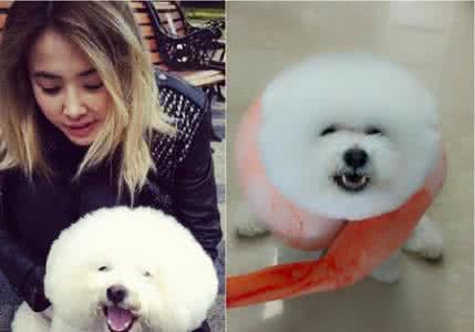 娱乐圈明星胡歌,娱乐圈男明星胡歌