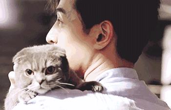 娱乐圈明星胡歌,娱乐圈男明星胡歌