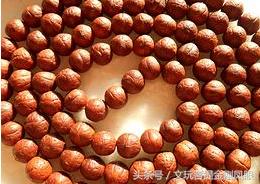 凤眼菩提三眼菩提,正圆老凤眼菩提