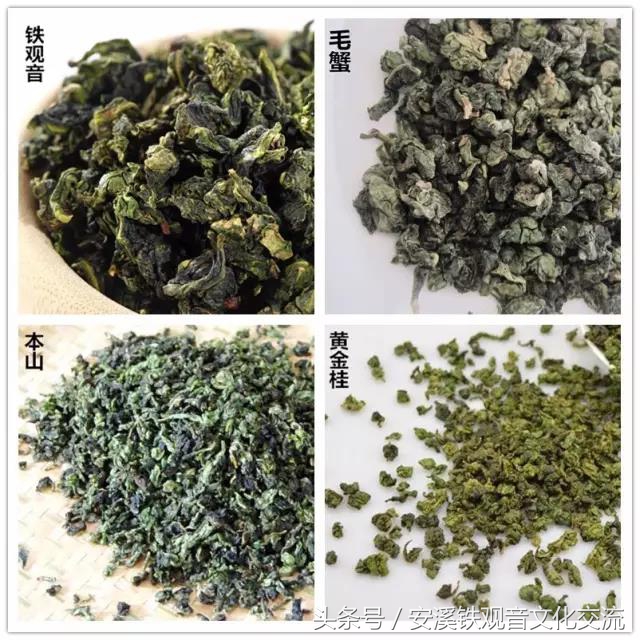 对铁观音的误解,关于铁观音的误解