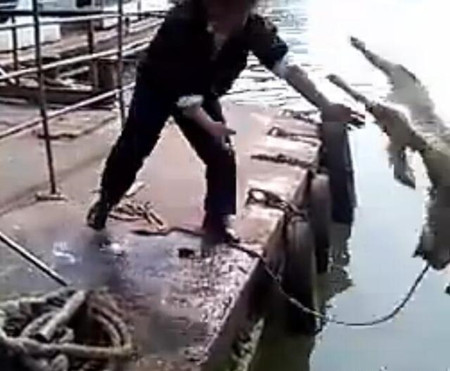 洗狗的方式,主人给狗狗洗澡太搞笑了