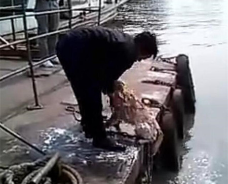 洗狗的方式,主人给狗狗洗澡太搞笑了