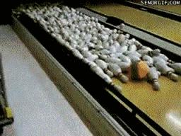 每日笑报兄弟！你这辆能焗油的车，不便宜吧？