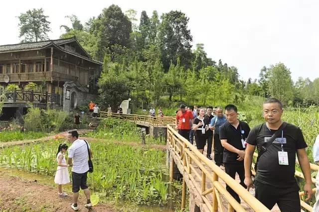 乐山夏季又避暑又好吃的地方,乐山本地人都去哪里吃美食