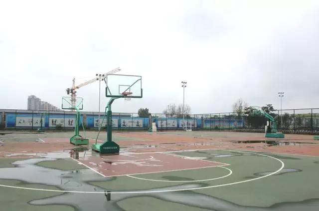 樱花湖赏樱花的最佳位置,樱花湖上