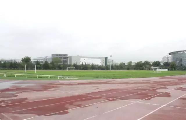 樱花湖赏樱花的最佳位置,樱花湖上