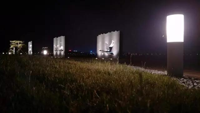 樱花湖赏樱花的最佳位置,樱花湖上