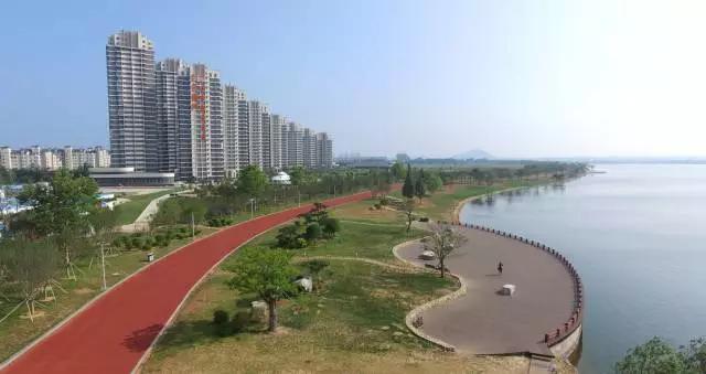 樱花湖赏樱花的最佳位置,樱花湖上