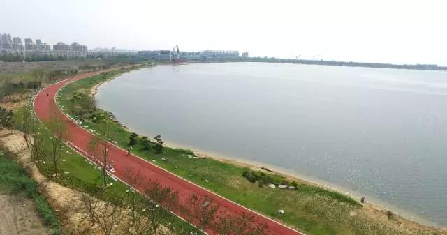 樱花湖赏樱花的最佳位置,樱花湖上