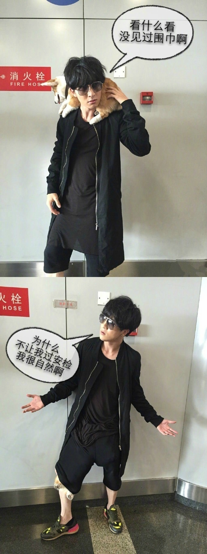 娱乐圈明星胡歌,娱乐圈男明星胡歌