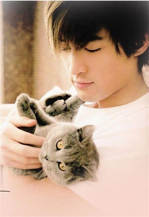 娱乐圈明星胡歌,娱乐圈男明星胡歌