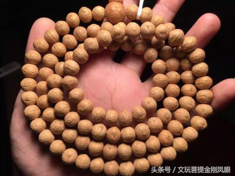 凤眼菩提三眼菩提,正圆老凤眼菩提