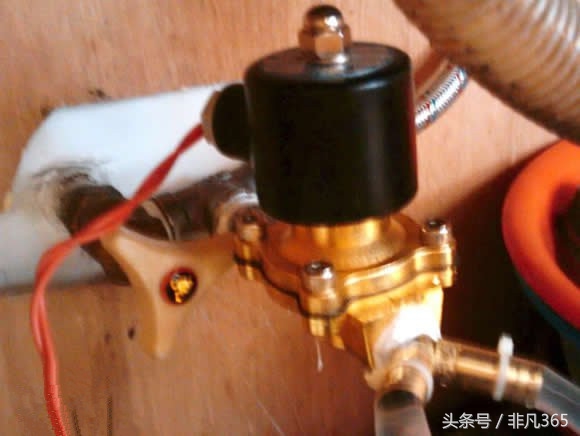 夏天植物不记得浇水了怎么办,如何制作植物自动浇水器