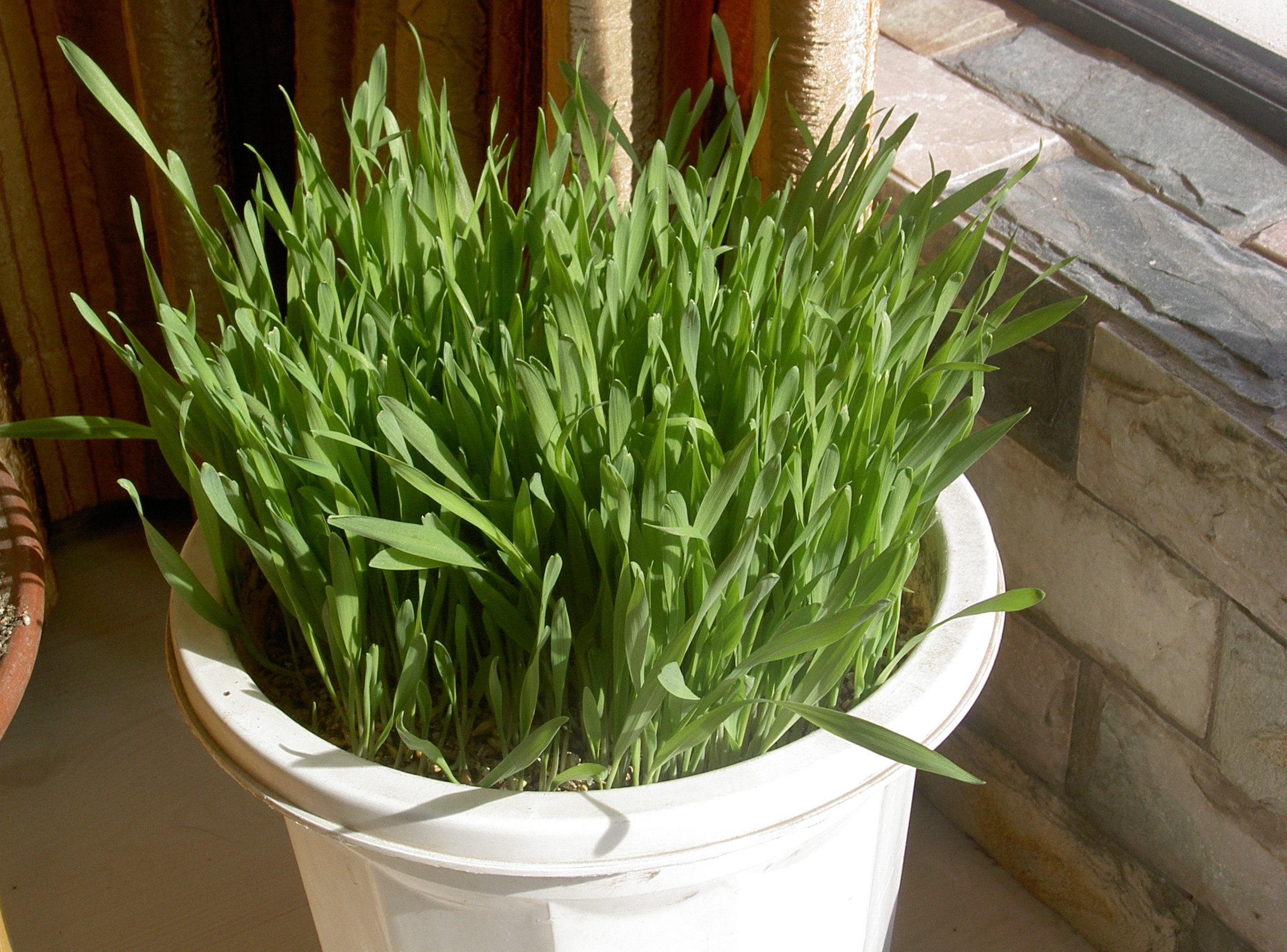 鍠垫槦浜轰笉鐖卞悆闆堕,鍠垫槦浜轰笉鐖卞悆棣欒彍