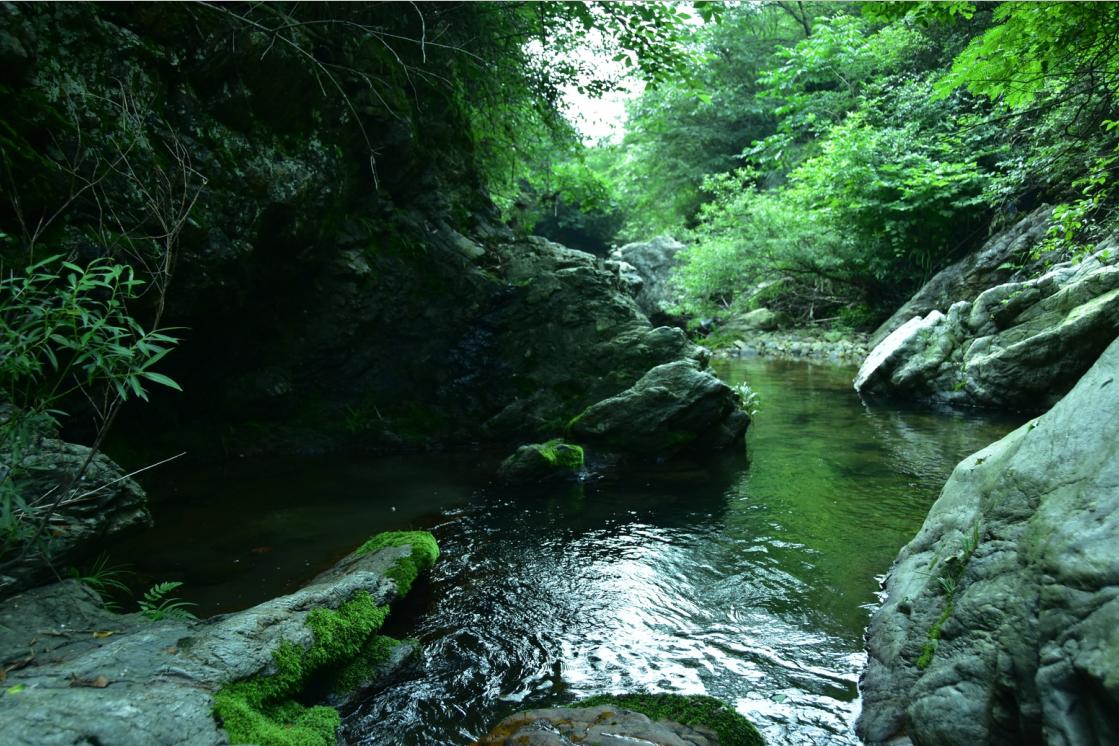 舒城古镇风景视频,舒城兰花谷古镇