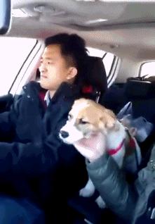 初春时节，西伯利亚寒气袭人，a国间谍史密夫执行任务时，失手被擒，其后被关在高原上的木屋内