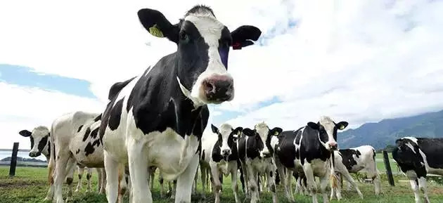 北欧必买小众品牌,中国潮妈