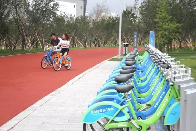 樱花湖赏樱花的最佳位置,樱花湖上