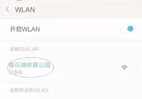 樱花湖赏樱花的最佳位置,樱花湖上