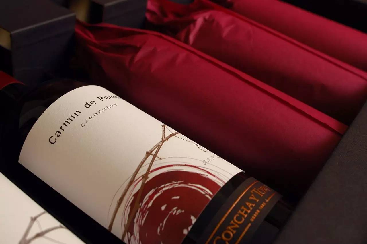 智利葡萄酒最具性价比,智利前十大葡萄酒