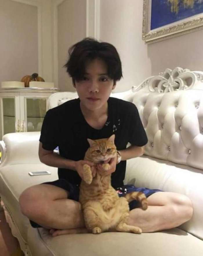 娱乐圈明星胡歌,娱乐圈男明星胡歌