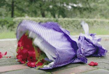 敢于梦想的tfboys,tfboys第一次演出青春修炼手册