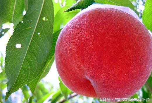 不做冤大头，爱美不盲目！雪花秀在韩国到底属于什么档次？