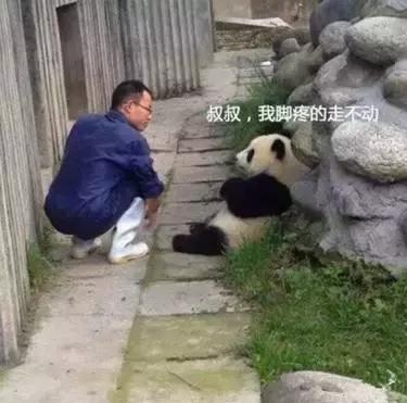 未来最稳定最吃香的十大职业,十大最舒服的工作排行榜