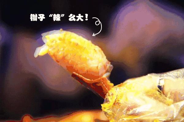 高温红色预警再次拉起，席卷魔都的红衣战士的暴击你挺得住吗？