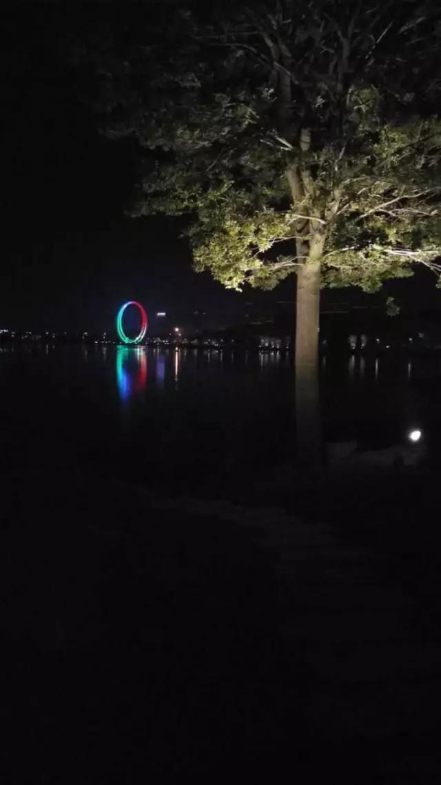 樱花湖赏樱花的最佳位置,樱花湖上