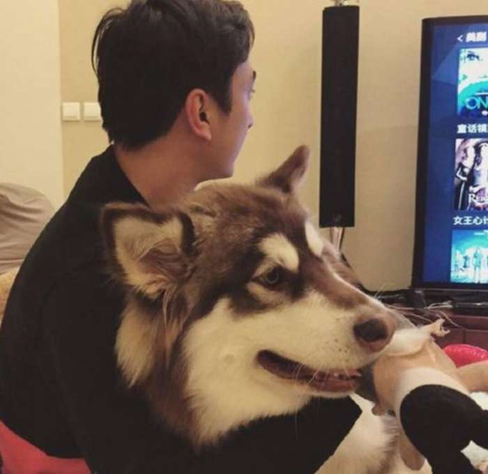 娱乐圈明星胡歌,娱乐圈男明星胡歌