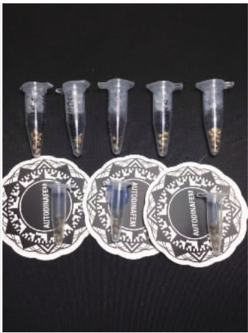 精致暗藏玄机首饰,精美首饰有哪些