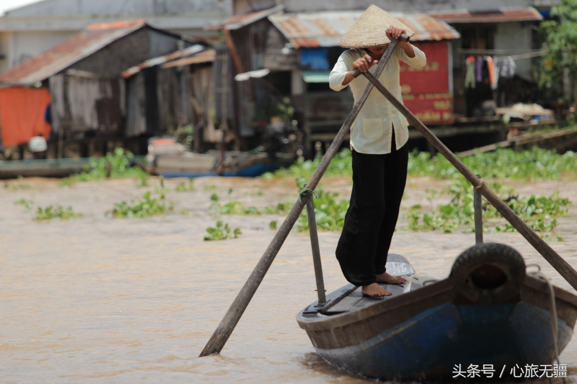 越南旅游吃大龙虾 (越南芽庄烤龙虾多少钱)