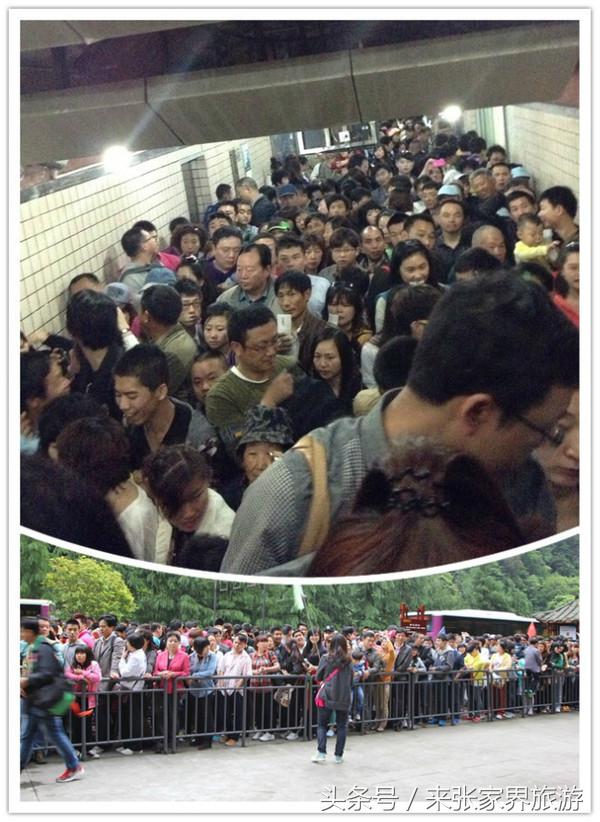 张家界森林公园黄龙洞,张家界天门山森林公园四天攻略