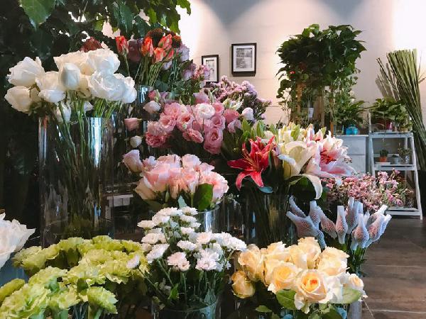 南京春日周末踏青好去处,南京下半年大型活动