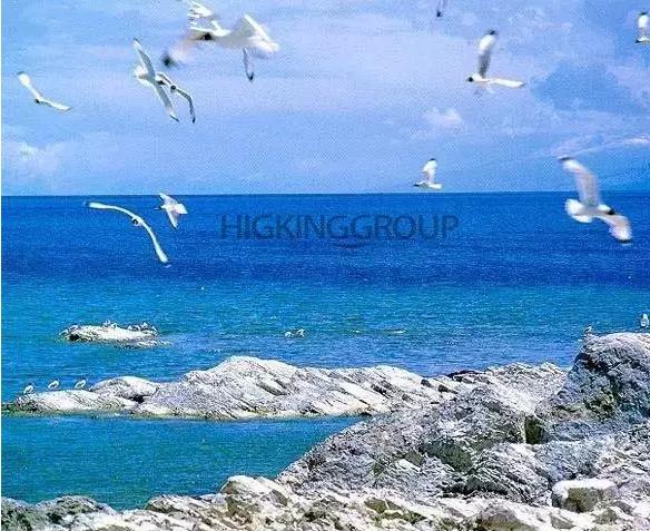 南京春日周末踏青好去处,南京下半年大型活动