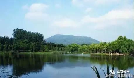 全球顶尖房企独揽合肥两湖一山，本周入市！