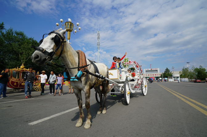 感受大西北的异域风情环疆游结束,南北疆深度游北疆进入南疆