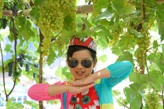 感受大西北的异域风情环疆游结束,南北疆深度游北疆进入南疆