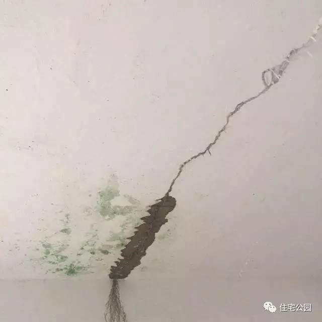 屋顶漏水怎么修补最简单的方法,房顶漏水用水泥补