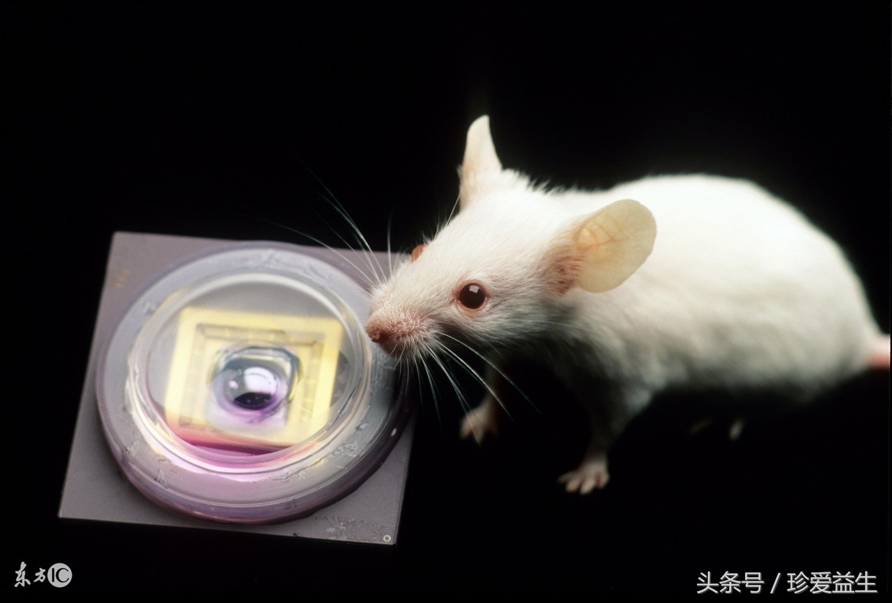 你知道，你已深陷肿瘤的包围圈吗？