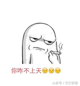 泰迪脑子,泰迪脑子有多大