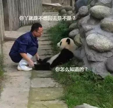 未来最稳定最吃香的十大职业,十大最舒服的工作排行榜