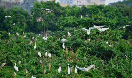 珠海夏日清凉避暑胜地,珠海凉爽的地方