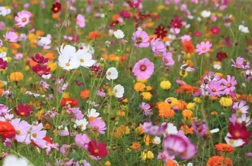 珠海夏日清凉避暑胜地,珠海凉爽的地方