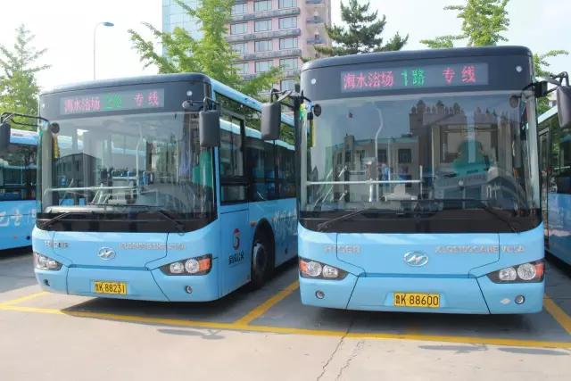 樱花湖赏樱花的最佳位置,樱花湖上