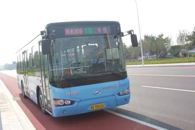 樱花湖赏樱花的最佳位置,樱花湖上