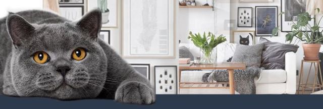 全家邮轮上一起游玩,全家一起游准备什么