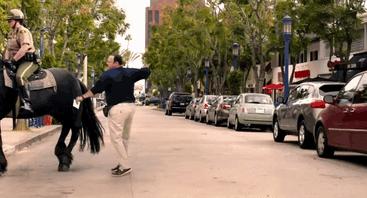 鱼缸养虾视频,鱼缸养大眼贼虾