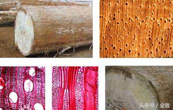 乒乓球拍是用什么材料制成,用木头做乒乓球拍